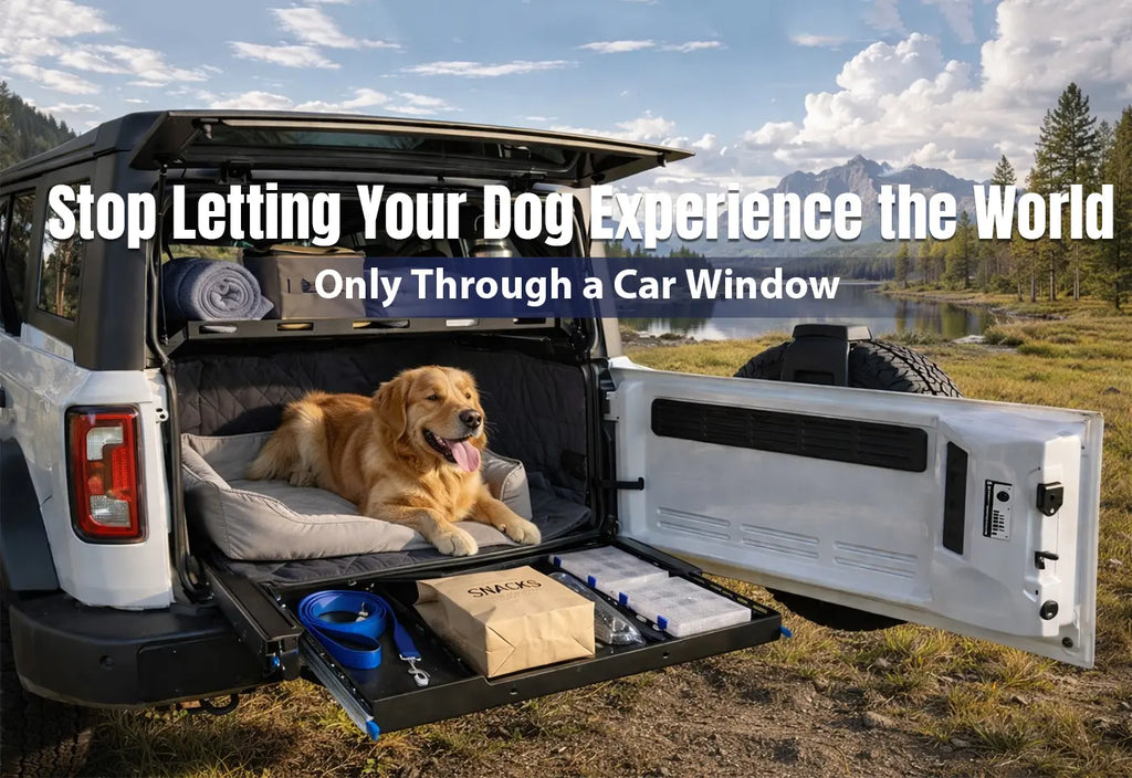 Stop Letting Your Dog Experience the World Only Through a Car Window